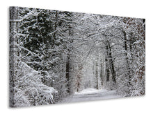 Laden Sie das Bild in den Galerie-Viewer, Leinwandbild Verzauberter Winterwald