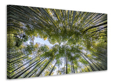Laden Sie das Bild in den Galerie-Viewer, Leinwandbild Viele Baumkronen