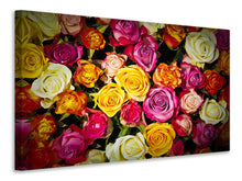 Laden Sie das Bild in den Galerie-Viewer, Leinwandbild Viele bunte Rosenblüten