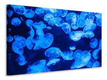 Laden Sie das Bild in den Galerie-Viewer, Leinwandbild Viele Quallen im blauen Wasser