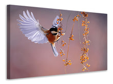 Laden Sie das Bild in den Galerie-Viewer, Leinwandbild Vogel in Aktion