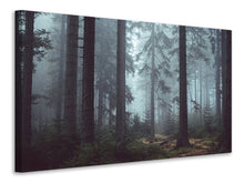 Laden Sie das Bild in den Galerie-Viewer, Leinwandbild Wald im Nebel