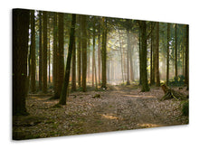 Laden Sie das Bild in den Galerie-Viewer, Leinwandbild Wald Lauf