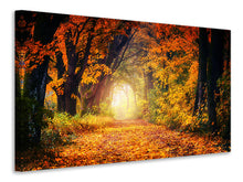 Laden Sie das Bild in den Galerie-Viewer, Leinwandbild Wald Spaziergang