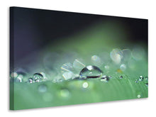 Laden Sie das Bild in den Galerie-Viewer, Leinwandbild Wassertropfen in XXL