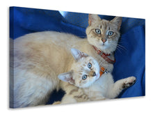 Laden Sie das Bild in den Galerie-Viewer, Leinwandbild Wie die Mama...