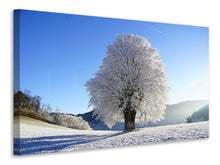 Laden Sie das Bild in den Galerie-Viewer, Leinwandbild Winter Märchen