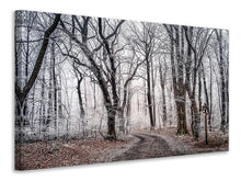 Laden Sie das Bild in den Galerie-Viewer, Leinwandbild Winterlicher Wald