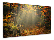 Laden Sie das Bild in den Galerie-Viewer, Leinwandbild Wir lieben Herbst