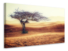 Laden Sie das Bild in den Galerie-Viewer, Leinwandbild Wüstensturm