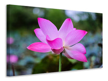 Laden Sie das Bild in den Galerie-Viewer, Leinwandbild Wunderschöne Lotus