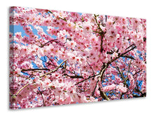Laden Sie das Bild in den Galerie-Viewer, Leinwandbild Wundervolle Japanische Zierkirsche
