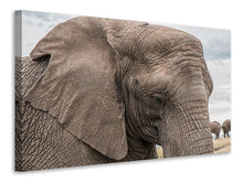 Laden Sie das Bild in den Galerie-Viewer, Leinwandbild XL Elefant