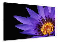 Laden Sie das Bild in den Galerie-Viewer, Leinwandbild XL Seerose in lila
