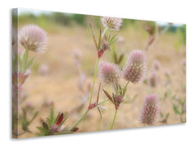 Laden Sie das Bild in den Galerie-Viewer, Leinwandbild Zarte Blumen