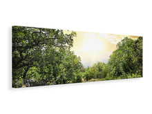 Laden Sie das Bild in den Galerie-Viewer, Leinwandbild Panorama Am Ende des Waldes