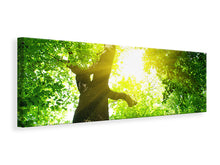Laden Sie das Bild in den Galerie-Viewer, Leinwandbild Panorama Baum