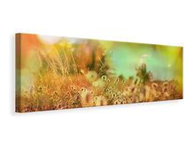 Laden Sie das Bild in den Galerie-Viewer, Leinwandbild Panorama Blumenwiese in der Abenddämmerung