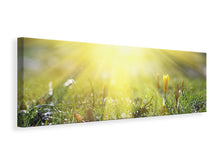 Laden Sie das Bild in den Galerie-Viewer, Leinwandbild Panorama Blumige Wiese