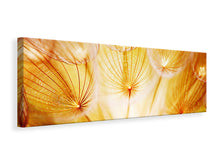 Laden Sie das Bild in den Galerie-Viewer, Leinwandbild Panorama Close Up Pusteblume im Licht