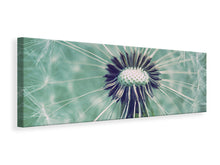 Laden Sie das Bild in den Galerie-Viewer, Leinwandbild Panorama Close Up Pusteblume