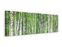 Laden Sie das Bild in den Galerie-Viewer, Leinwandbild Panorama Der Birkenwald