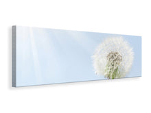 Laden Sie das Bild in den Galerie-Viewer, Leinwandbild Panorama Der Löwenzahn im Sonnenstrahl