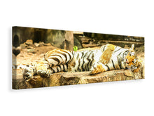 Laden Sie das Bild in den Galerie-Viewer, Leinwandbild Panorama Der Sibirische Tiger