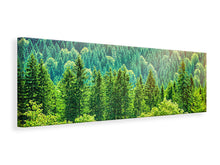 Laden Sie das Bild in den Galerie-Viewer, Leinwandbild Panorama Der Waldhügel