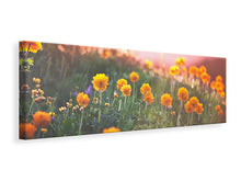 Laden Sie das Bild in den Galerie-Viewer, Leinwandbild Panorama Die Bergwiese