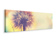 Laden Sie das Bild in den Galerie-Viewer, Leinwandbild Panorama Die Pusteblume im Licht