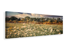 Laden Sie das Bild in den Galerie-Viewer, Leinwandbild Panorama Die Wiesenmargerite am Fluss