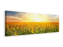 Laden Sie das Bild in den Galerie-Viewer, Leinwandbild Panorama Ein Feld voller Sonnenblumen