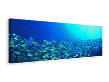 Laden Sie das Bild in den Galerie-Viewer, Leinwandbild Panorama Fischschwarm