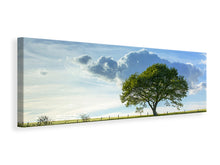 Laden Sie das Bild in den Galerie-Viewer, Leinwandbild Panorama Frühlingsbaum