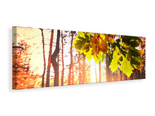 Laden Sie das Bild in den Galerie-Viewer, Leinwandbild Panorama Herbst