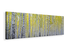 Laden Sie das Bild in den Galerie-Viewer, Leinwandbild Panorama Herbstlicher Birkenwald
