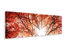 Laden Sie das Bild in den Galerie-Viewer, Leinwandbild Panorama Herbstlicht
