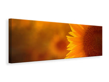 Laden Sie das Bild in den Galerie-Viewer, Leinwandbild Panorama Macro-Sonnenblume