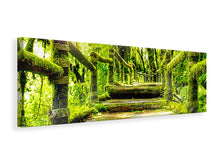 Laden Sie das Bild in den Galerie-Viewer, Leinwandbild Panorama Moos
