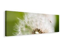 Laden Sie das Bild in den Galerie-Viewer, Leinwandbild Panorama Pusteblume Löwenzahn