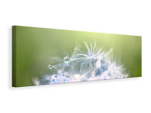Laden Sie das Bild in den Galerie-Viewer, Leinwandbild Panorama Pusteblume XL im Morgentau