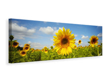 Laden Sie das Bild in den Galerie-Viewer, Leinwandbild Panorama Sommer-Sonnenblumen