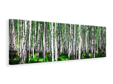 Laden Sie das Bild in den Galerie-Viewer, Leinwandbild Panorama Sommerlicher Birkenwald
