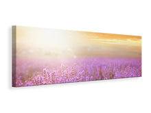 Laden Sie das Bild in den Galerie-Viewer, Leinwandbild Panorama Sonnenuntergang beim Lavendelfeld