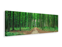Laden Sie das Bild in den Galerie-Viewer, Leinwandbild Panorama Tannenwald