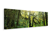 Laden Sie das Bild in den Galerie-Viewer, Leinwandbild Panorama Verträumter Wald