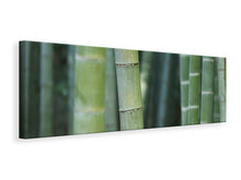 Laden Sie das Bild in den Galerie-Viewer, Leinwandbild Panorama Bambus in XXL