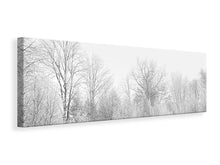 Laden Sie das Bild in den Galerie-Viewer, Leinwandbild Panorama Birken im Schnee