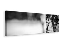 Laden Sie das Bild in den Galerie-Viewer, Leinwandbild Panorama Birken Stamm